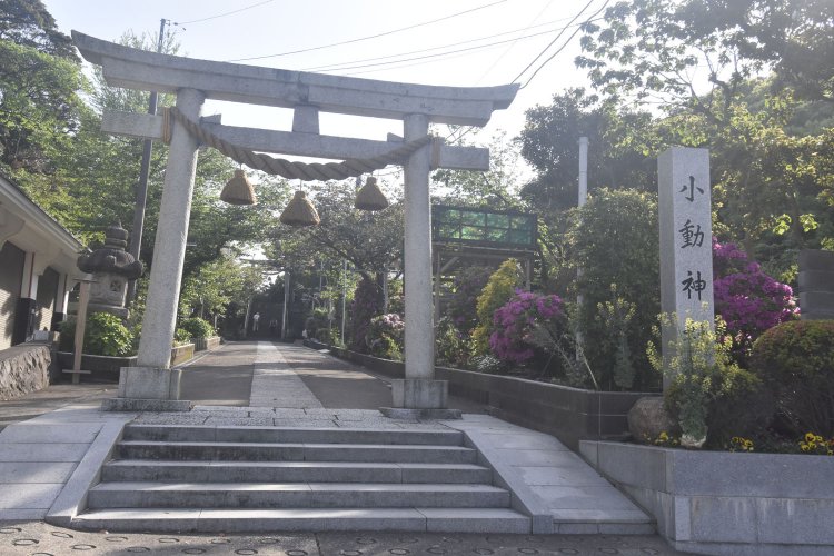 幕末には海防を担う遠見番所が置かれた小動神社。
