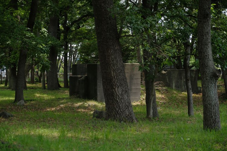 雑木林内に残存する採石場跡の遺構。桟橋の土台部分らしいが少々大きいため、桟橋とは違う施設ではないかと思った。