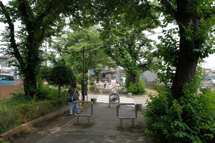 ゆるやかに左カーブしている。いかにも廃線跡らしい匂いがぷんぷんと漂っている。