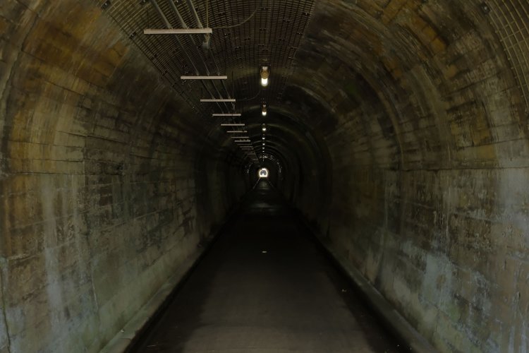 直線の横田トンネル。そこそこ暗いものの照明があるので安心である。