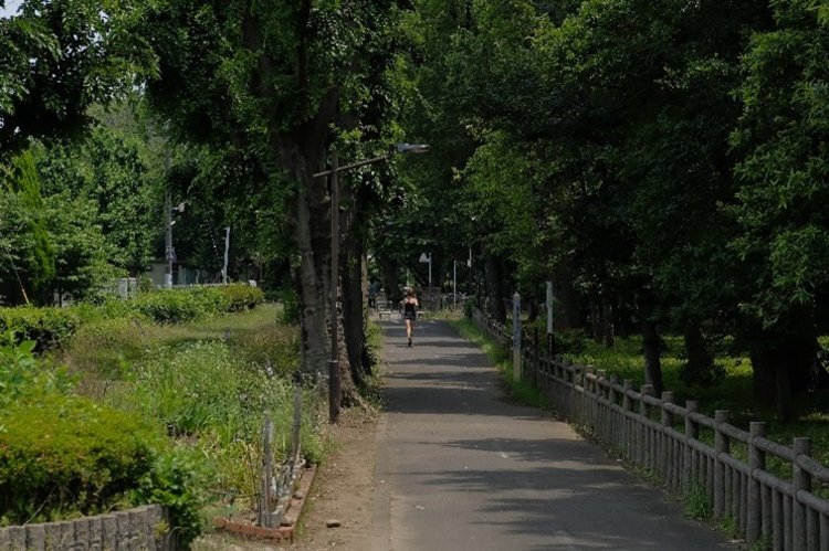採石場の脇にある自転車道が羽村山口軽便鉄道の跡。この地中には導水管が埋まる。