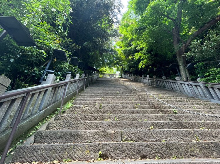 お分かりいただけるだろうか。もはや壁。