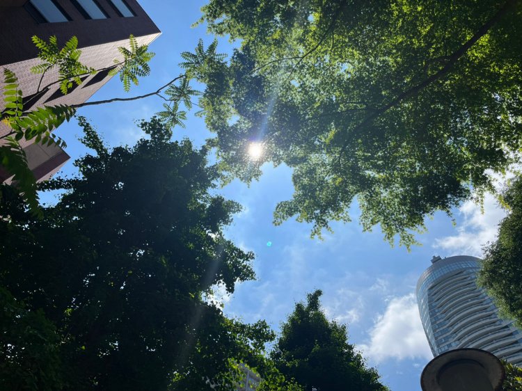 天気も良くて最高じゃないか！！！