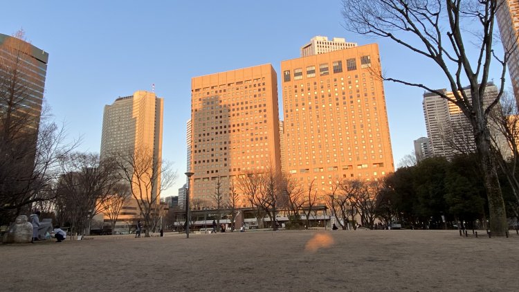 西口の新宿中央公園。芝生が気持ちいい。