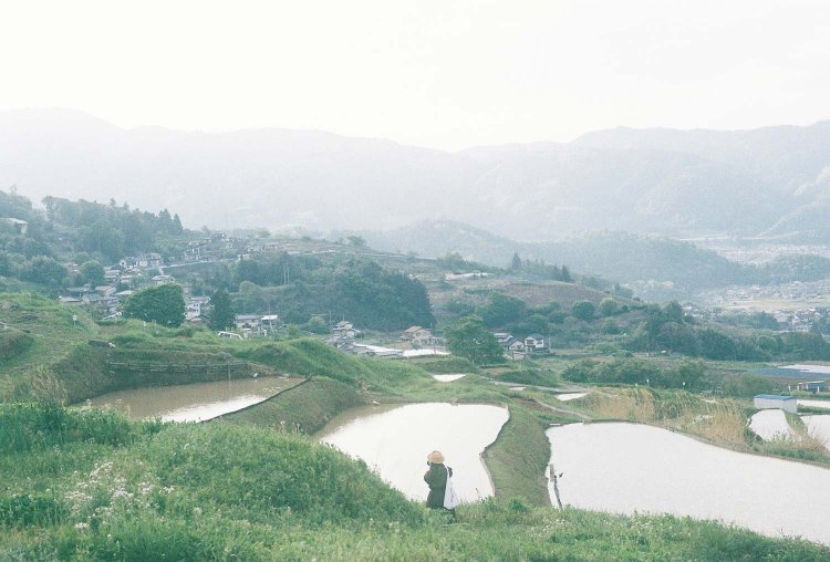 姨捨の棚田 / Contax Aria / Kodak portra 400