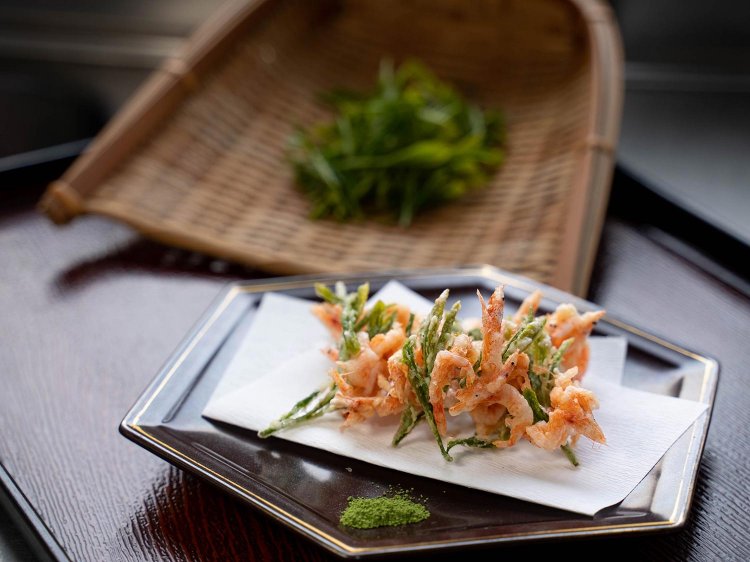 【Re:leaf Record】茶くらえび