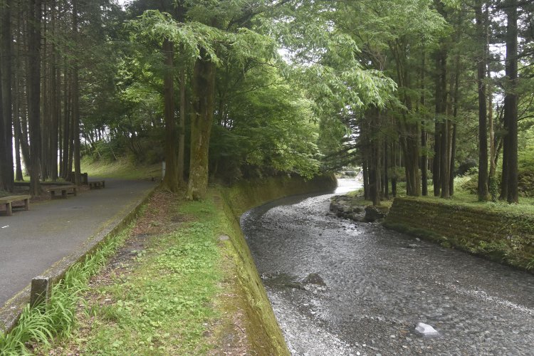 駐車場から陣場の滝に向かう遊歩道と五斗目木川。