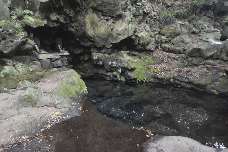 白糸の滝の上にある湧水池お鬢水。頼朝が鬢のほつれを直したと伝わる。