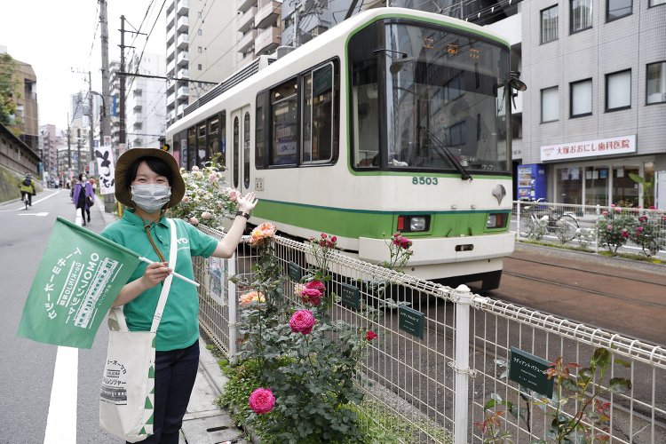 何形の車両と出合えるかお楽しみ。