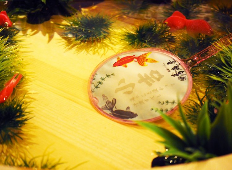 ポイを水につけると……！？