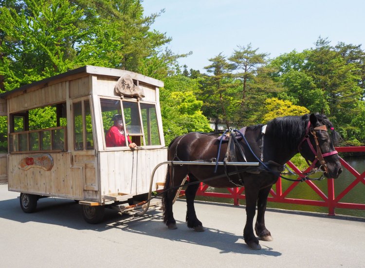 働き者だねえ。
