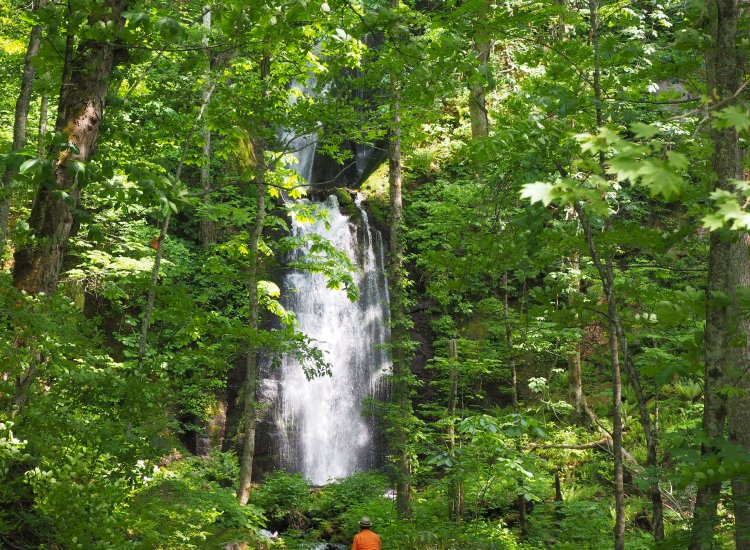 大小さまざまな滝が次々に現れる。これは「雲井の滝」。