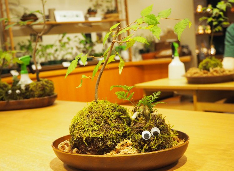 星野リゾート　奥入瀬渓流ホテル