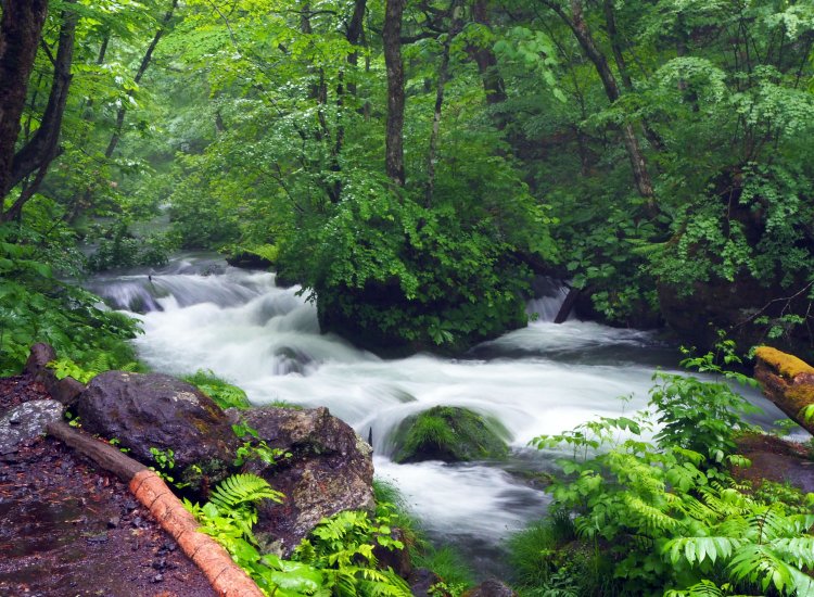 晴れているときとは一味違う趣きあり。