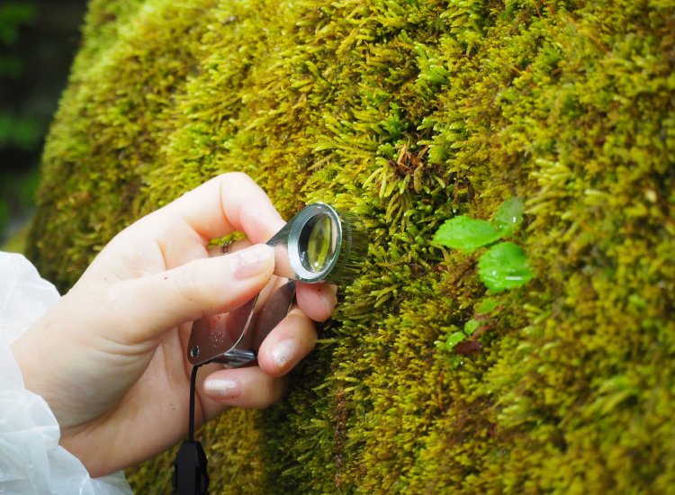 星野リゾート　奥入瀬渓流ホテル