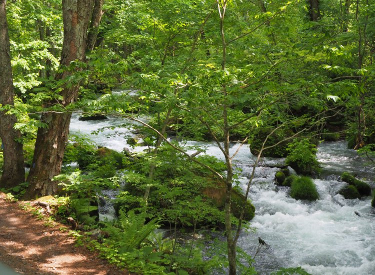 流れは車道のすぐ脇！