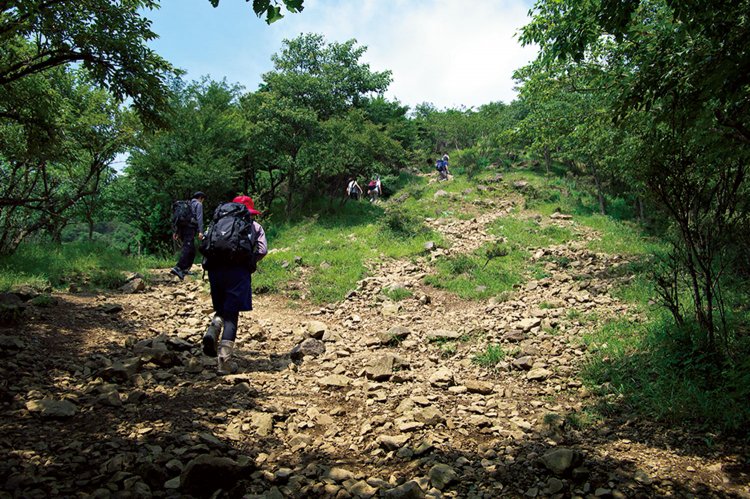 登山道入口から二ノ塔へ行く途中。ガレ場を登ると大山方面の展望。