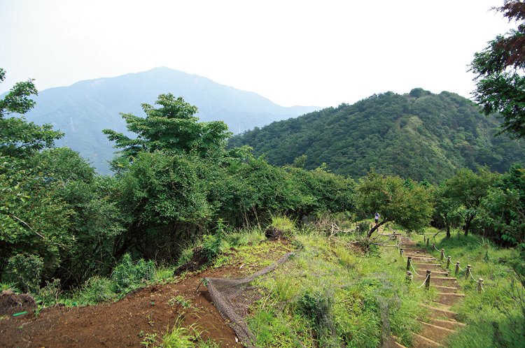 三ノ塔から二ノ塔を望む。遠いようだが、たったの15分。2019年の台風で一部道が崩落。通行は要注意。