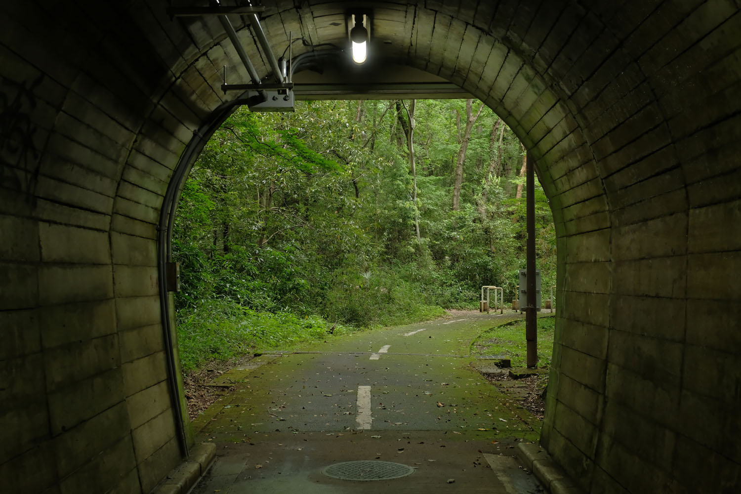 照明が心なしか弱く点灯している。トンネルの出口。その先はさっきと同じ森の中だけど、道が緑と同化しているような……。