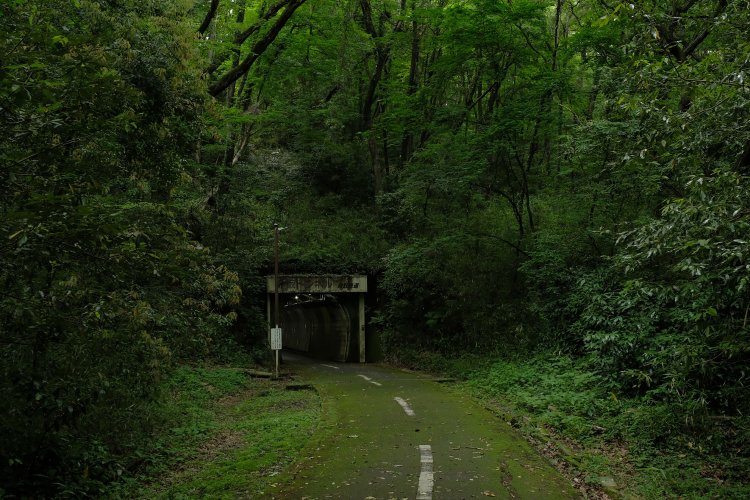 振り返る。赤坂トンネルの出口は、今までのトンネルの中で一番重々しい雰囲気だ。ああ、やっぱりここは違うところへ来てしまったのか。