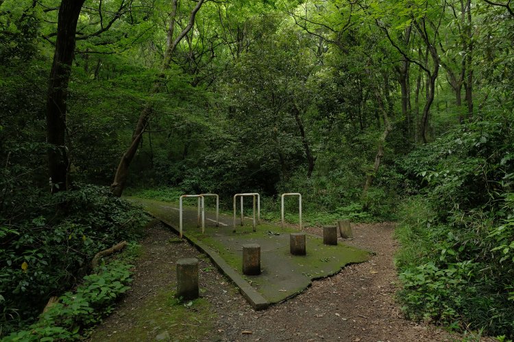 ほら、自転車道もぷつっと切れている。今まで導いてきてくれたのにこんな山中で放り出された気分。迷い込んでしまったのか。