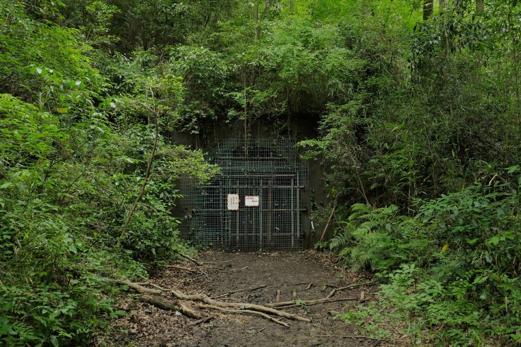 ５号トンネルである。活用されずに遺棄されたまま静かに佇んでいた。