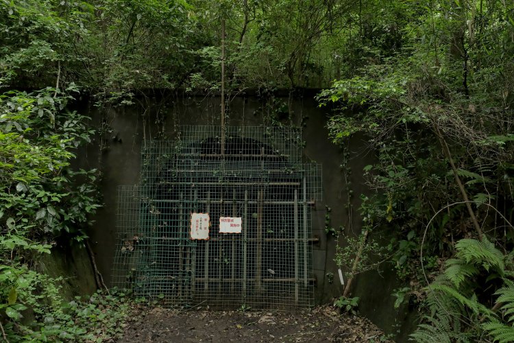 この先は村山貯水池の敷地。ゆえに頑丈にバリケードされているが、都内に僅かに残された鉄道トンネルの遺構のひとつだ。蚊に刺されるまま、しばしその姿に見とれる。