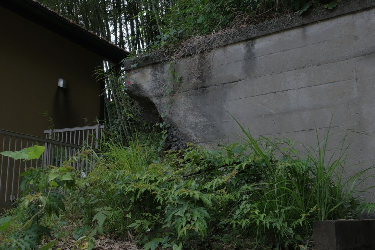 トンネル坑門（＝ポータル）の両サイドは「翼壁（＝ウイング）」と呼ばれる。横田トンネルの翼壁部分。端部はえぐれているのか土砂が欠けたのか、仕上がりがちょっと気になる。