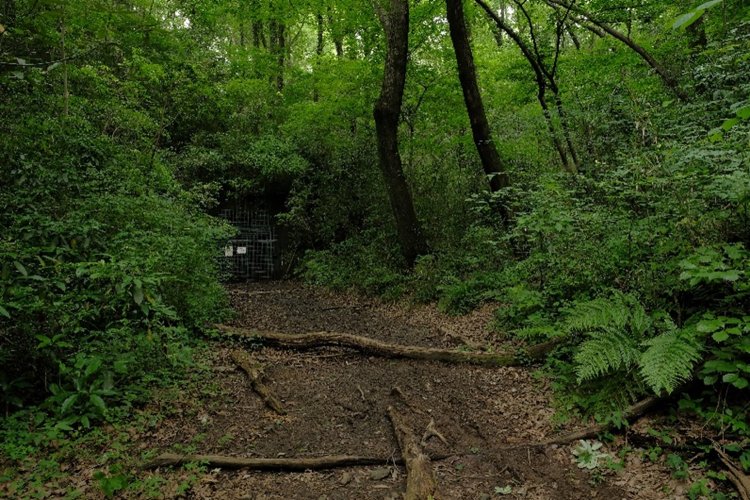 見える。ぬかるんだ先に見えるよ。行き止まりではないのだ。あれは……。