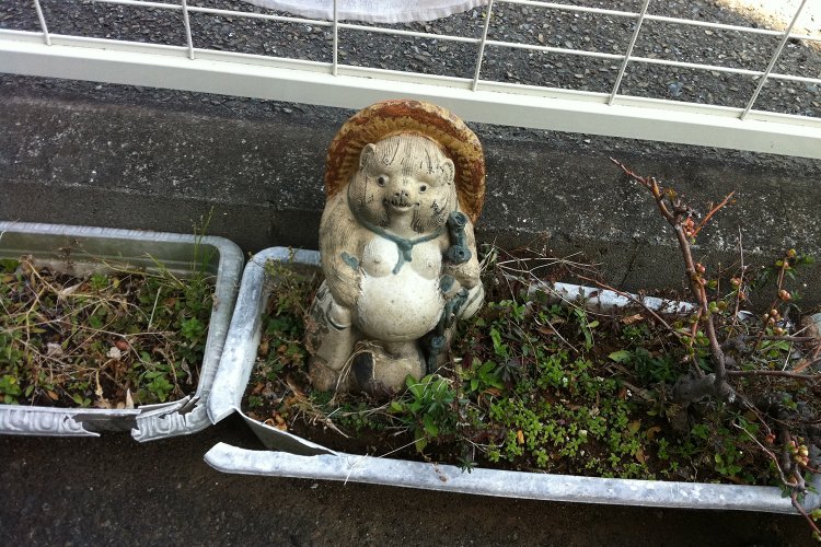 2010年にはじめて気になった狸の置物。