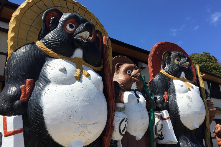 信楽では、街の至るところに狸の置物が並ぶ。