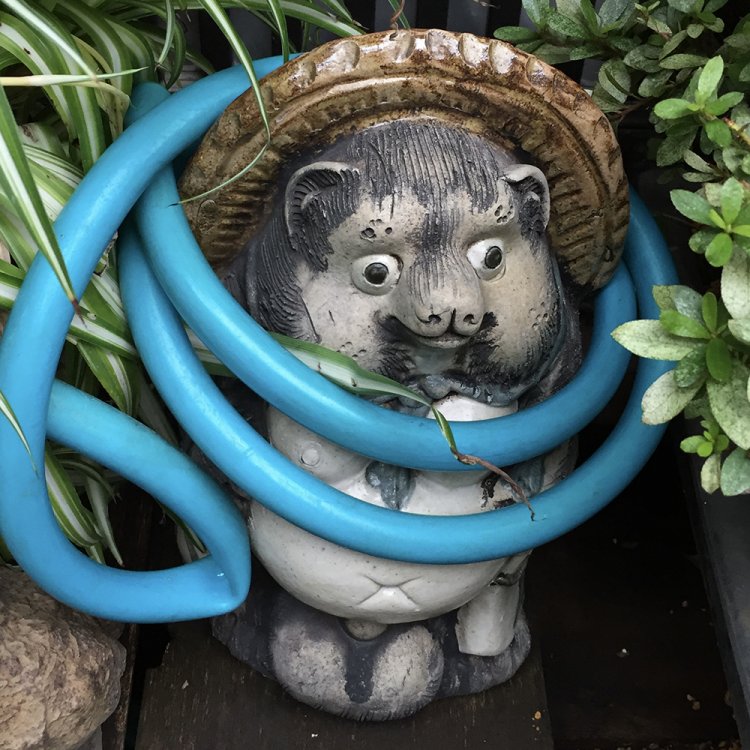 ゴムホースが巻きつけられた街角狸。