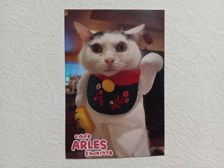 わが家の壁面に貼ってあるカフェアルルのポストカード