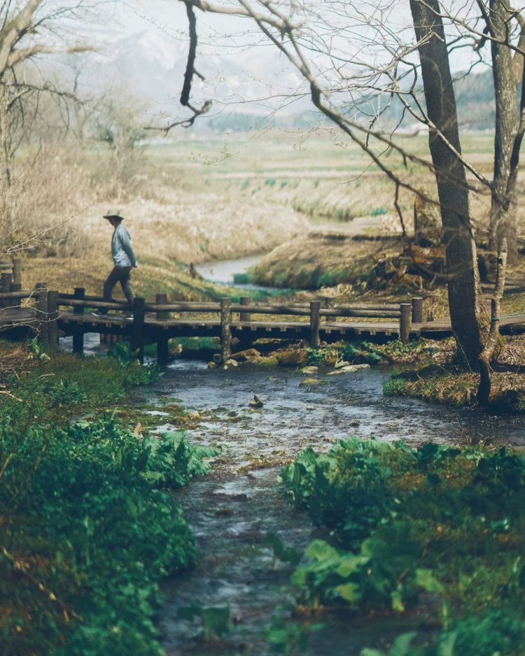 Sony α7RⅢ / Sony FE 85mm F1.4 GM