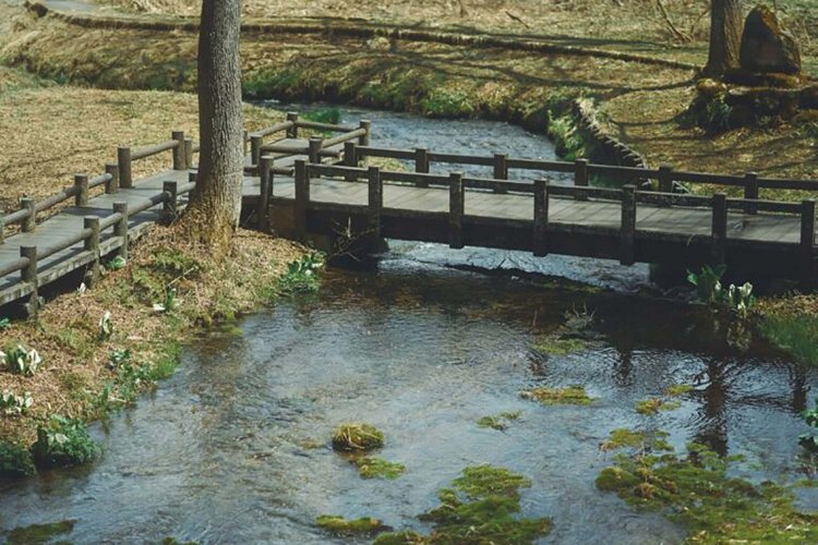 Sony α7RⅢ / Sony FE 85mm F1.4 GM