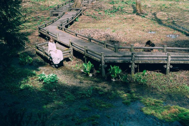 Sony α7RⅢ / Sony FE 50mm F1.2 GM