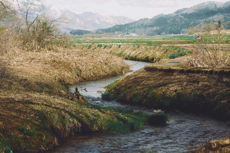 Sony α7RⅢ / Sony FE 85mm F1.4 GM