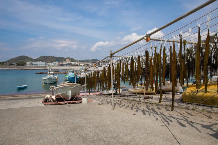 漁船が停泊し、磯が広がる素朴な雰囲気の真名瀬漁港。ワカメの天日干しは風物詩の一つ。