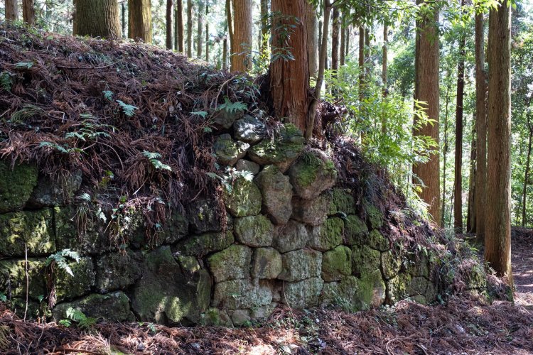 流れた歳月の長さを感じる、薄暗い木立に囲まれた正門西側石垣。