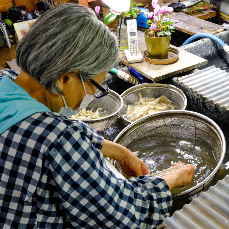 アク抜きを終えた楮の皮に残った塵（ちり）や不良な繊維を流水の中で丁寧に取り除く作業もおろそかにできない（見学できる工程は当日の作業内容により異なる）。