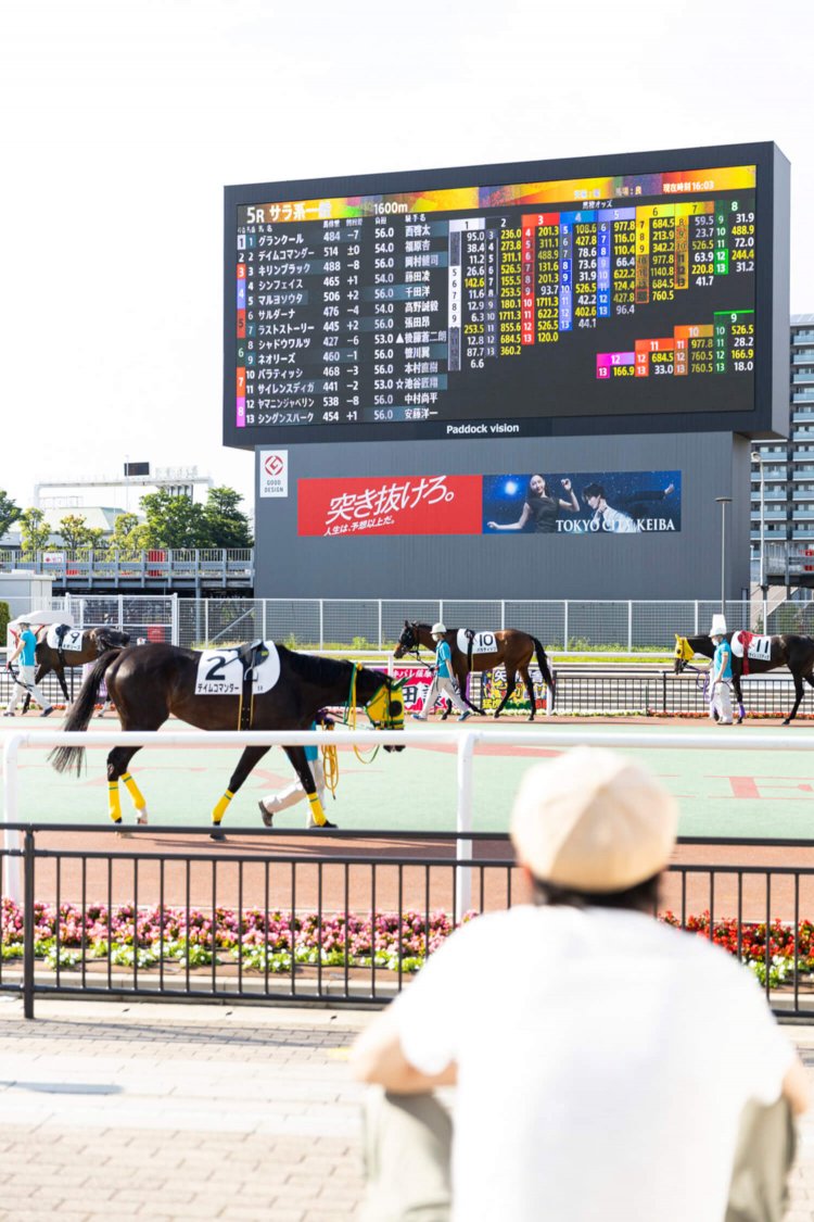 馬体をチェック。うーん、なるほど、あの馬とあの馬は毛ヅヤがいいな……。