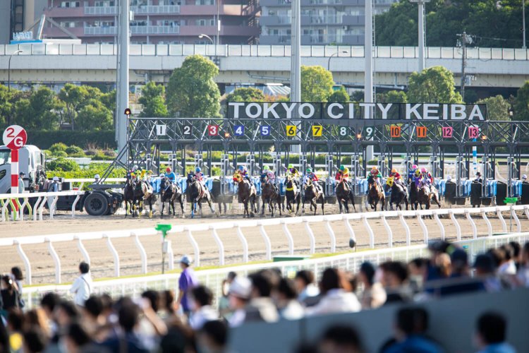大井競馬場10