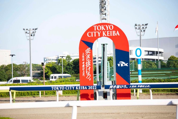 こんなところに違いも。これは右回りレースのゴールサイン。