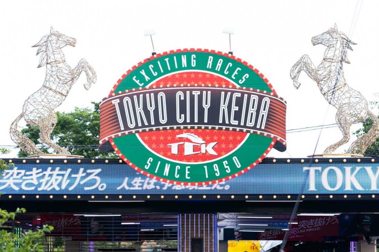 というわけで……。