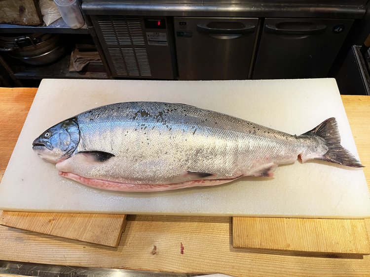 この日のコース料理には三陸・久慈の板マスが振る舞われた。サクラマスの太ったもので、脂が乗って美味。