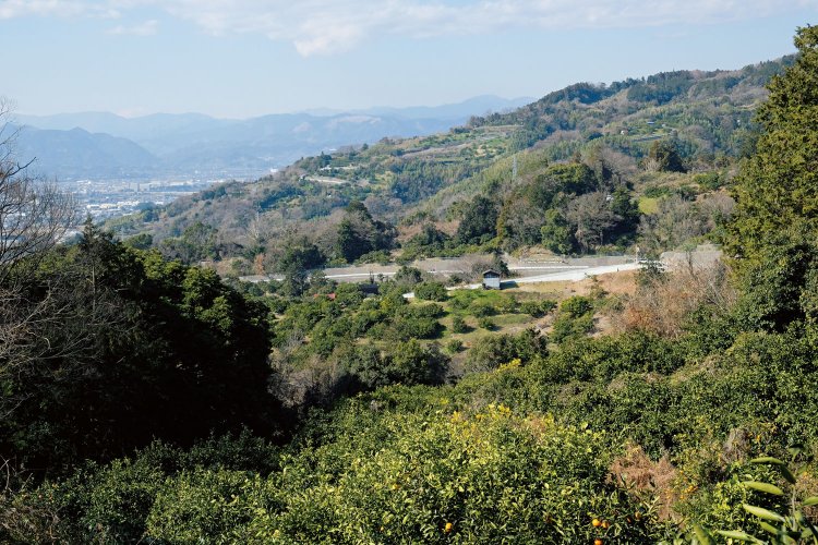 一本松付近から北側を望む。曽我丘陵ののどかな風景が広がる。