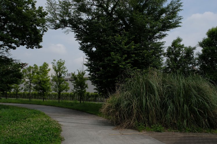 整備された公園内を歩く。変哲のない小道を進むと何かがある……。