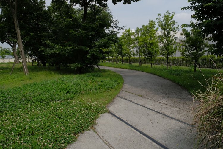 レールは小道の部分にだけ露出していた。