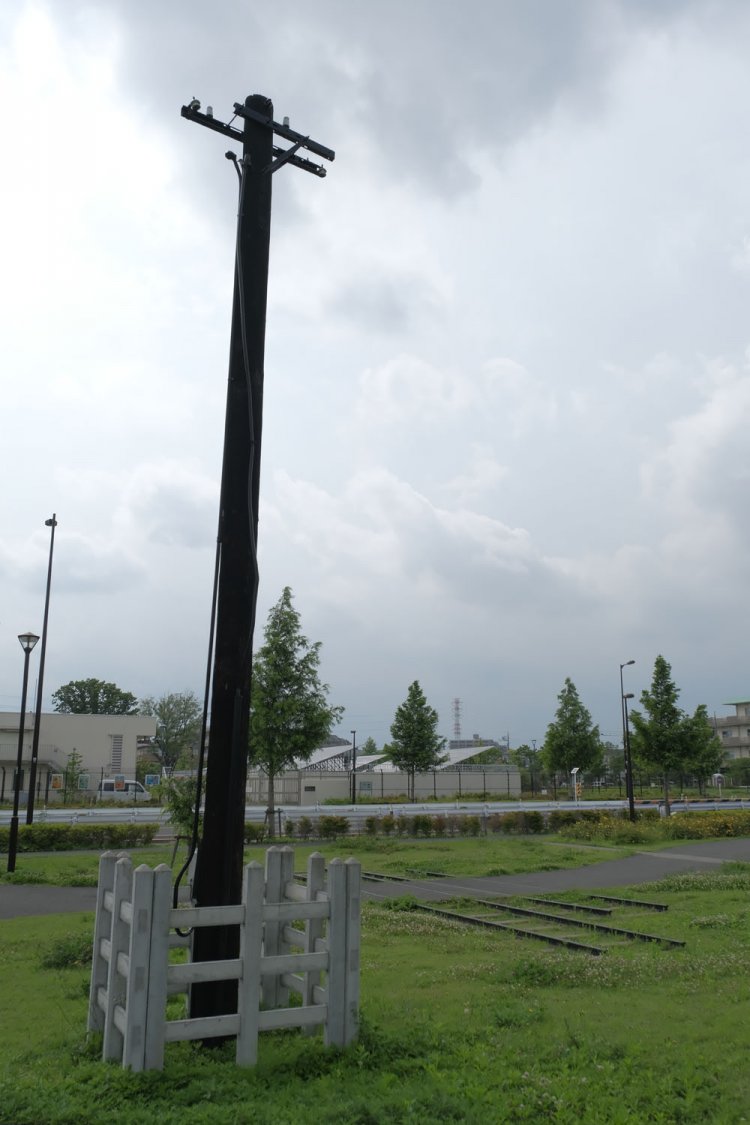 保存されている電信柱。ハエタタキという俗称のある古いタイプである。