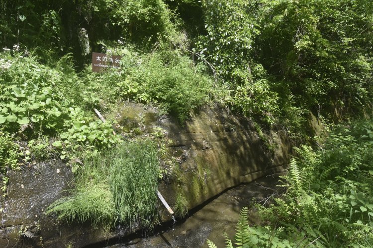 朝比奈切通し入り口近くにある、景時の太刀洗水。